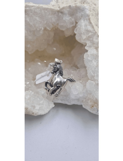 Pendentif licorne argent 925 olpa2454