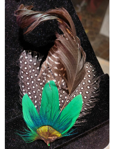 broche barrette en plumes