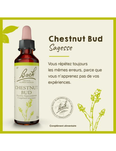 FLEUR BACH CHESNUT BUD GTT 20ML