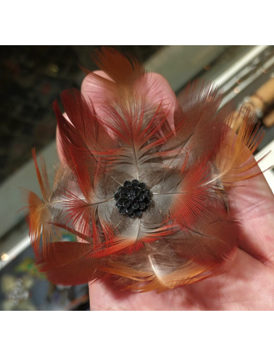 broche barrette en plumes