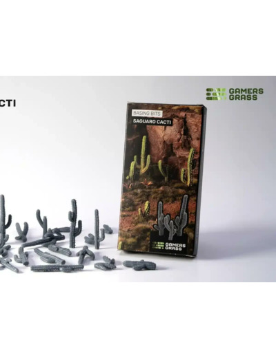 Basing Bits - Saguaro Cacti