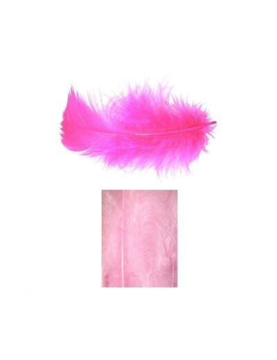 Boites de plumes  - Rose