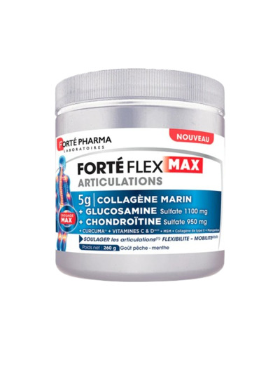 FORTE FLEX COLLAGENE POT 260G
