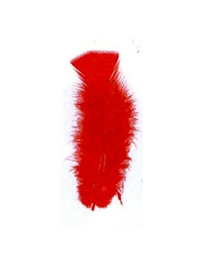 Plumes de dinde  - Rouge