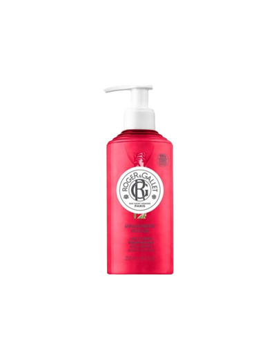 RG LAIT CORP BIENFAIS GINGEMB RGE 250ML