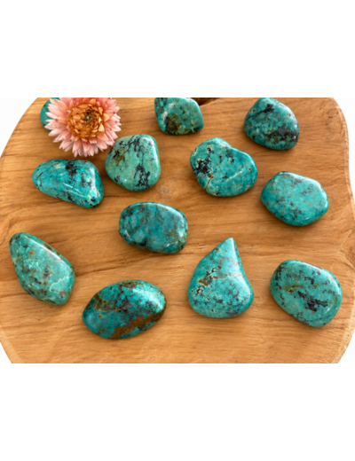 TURQUOISE AFRICAINE