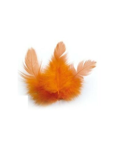 Plumes de coq  - Orange