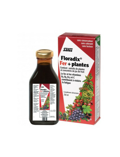 Floradix Fer + Plantes 500 ml Salus