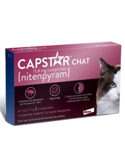 CAPSTAR CHAT BTE6