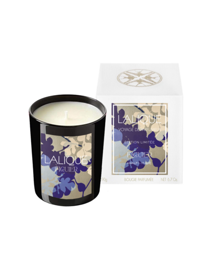 Bougie Parfumée Figuier Amalfi-Italie (Esdition Limitée)De Lalique 190g