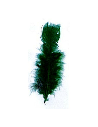 Plumes de dinde - Vert