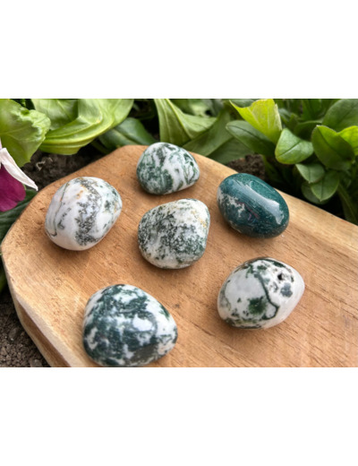 PIERRE ROULÉE AGATE ARBRE