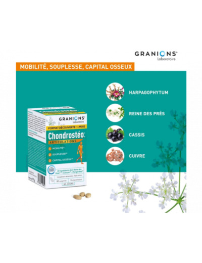 Granions Chondrostéo Articulations 2 + 1 Offert