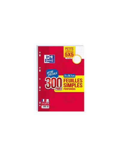 Feuillets mobiles perforés 21x29.7 - 300 pages - 5X5M