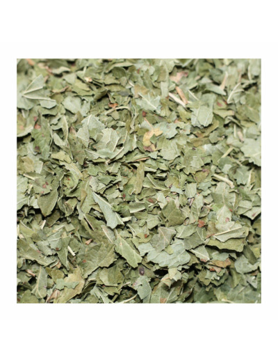 CASSIS - Feuilles coupées