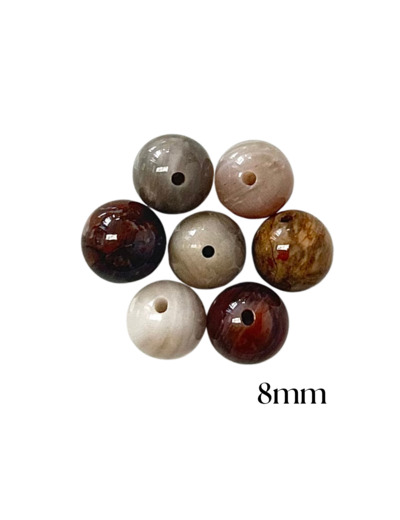 PERLES BOIS FOSSILE
