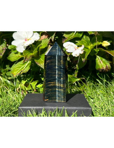 POINTES EN OEIL DE FAUCON