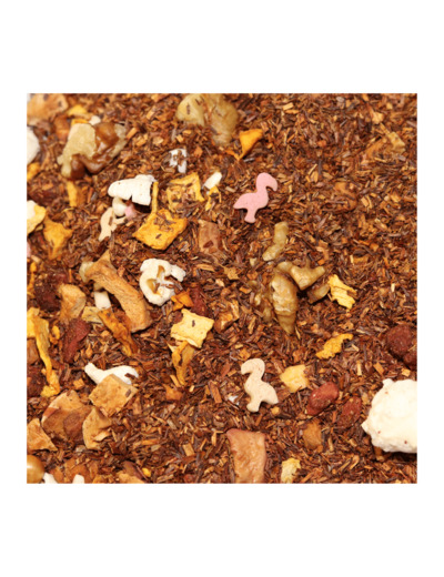 DOUCEURS D'AUTOMNE - Rooibos Citrouille - Châtaigne