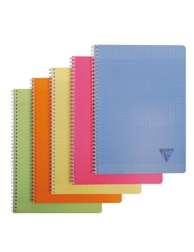 Cahier "Linicolor" 21x29,7 - 100 pages - Séyès