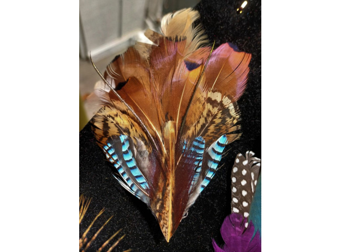 broche barrette en plumes