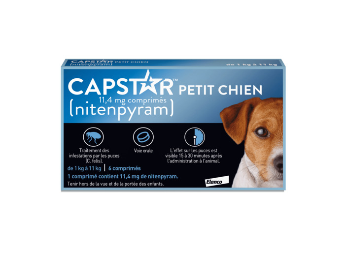 CAPSTAR PETIT CHIEN 11MG4 1-11KG CPR BT 6