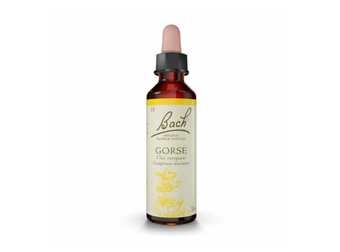 FLEUR BACH GORSE GTT FL20ML