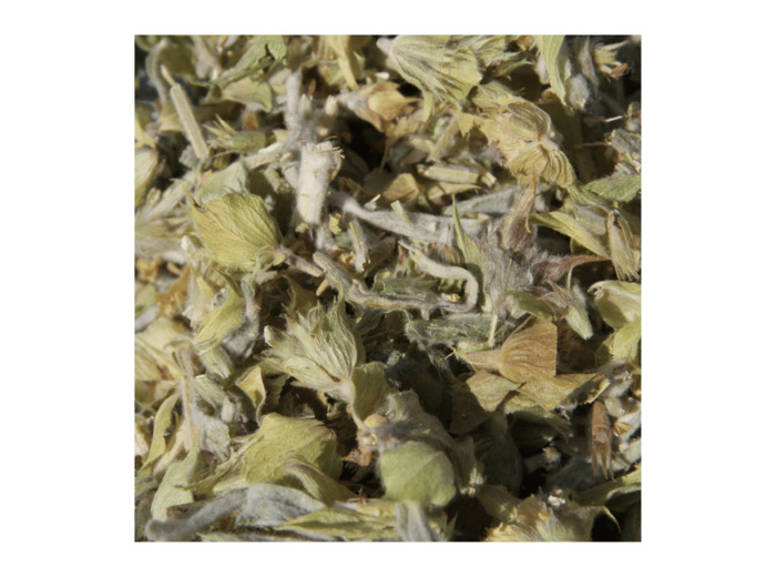 THÉ DES BERGERS - Sommités fleuries