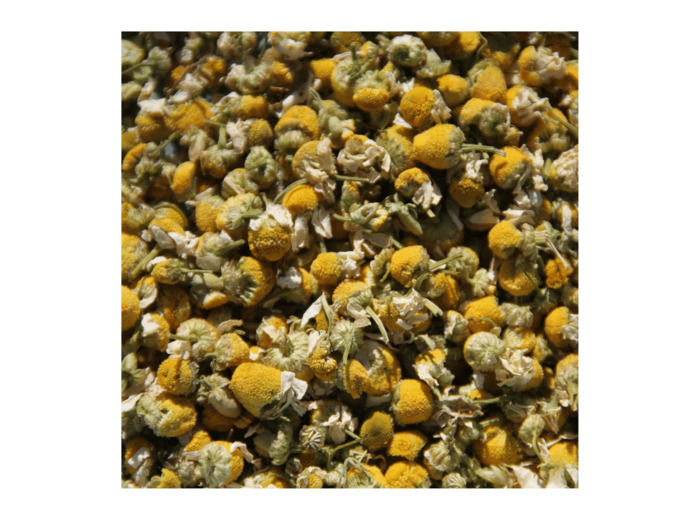 CAMOMILLE MATRICAIRE - Fleurs