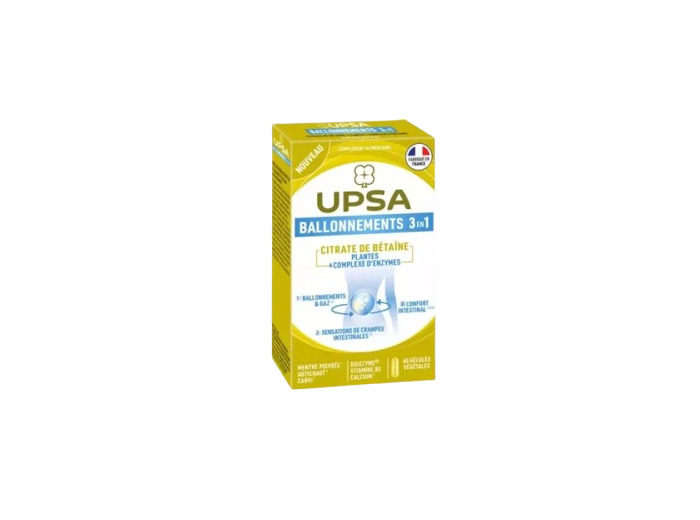 UPSA BALLONNEMENT 3EN1