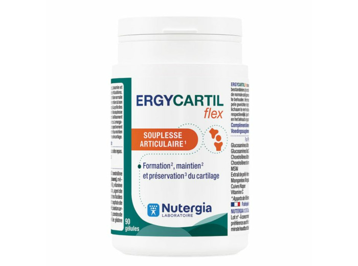 ERGYCARTIL FLEX 90 GELULES