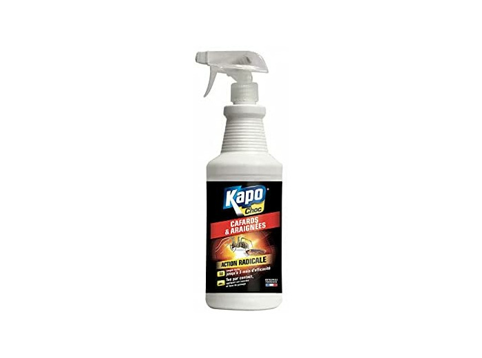 Pulvérisateur Anti-Cafards et Araignées 1L - KAPO