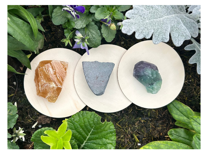 KIT RÉVISIONS & FOCUS