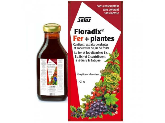 FLORADIX FERPLANT BOISS 250ML