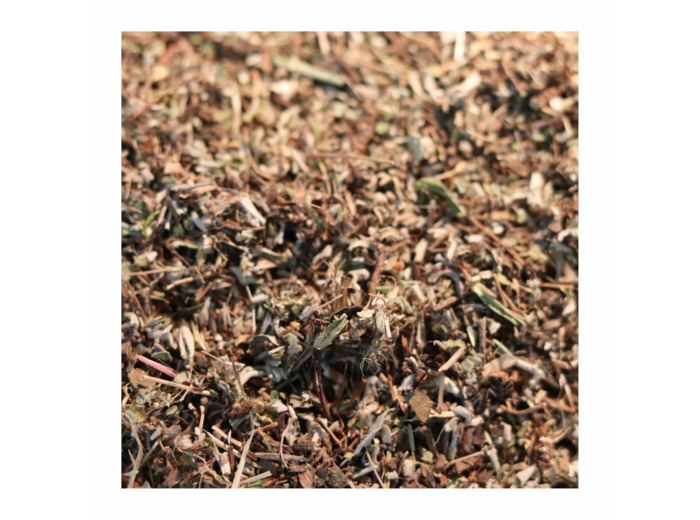 PILOSELLE - Parties aériennes coupées