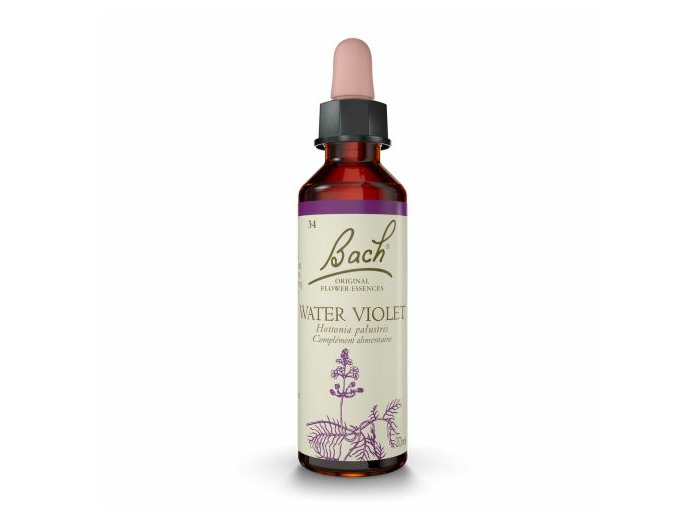 FLEUR BACH WATER VIOLET GTT 20ML