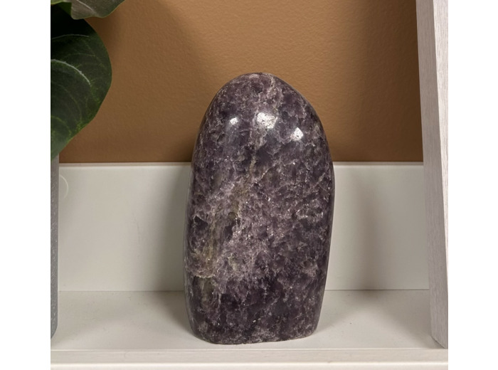 FORME LEPIDOLITE