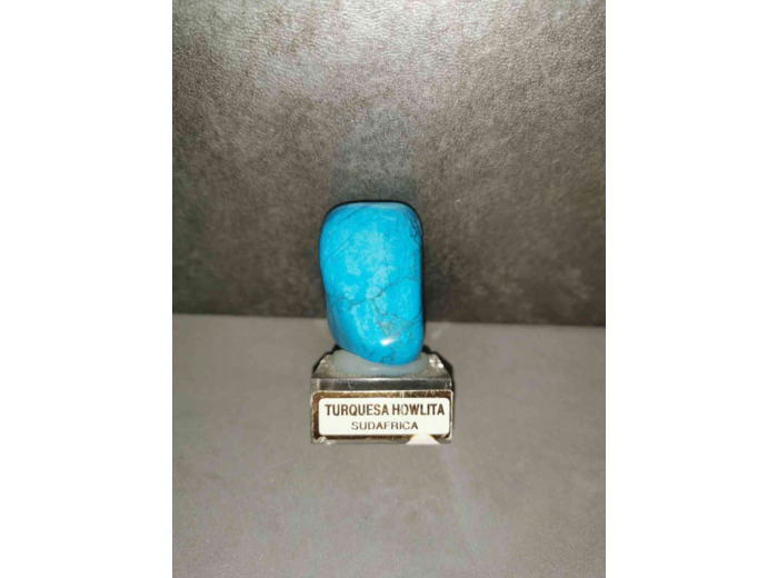Howlite bleue sud africaine sur support