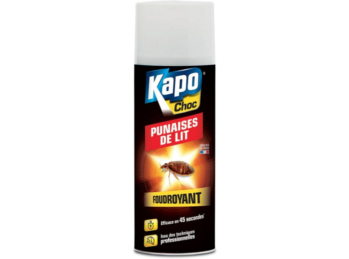 Aérosol punaise de lit foudroyant - 400 mL