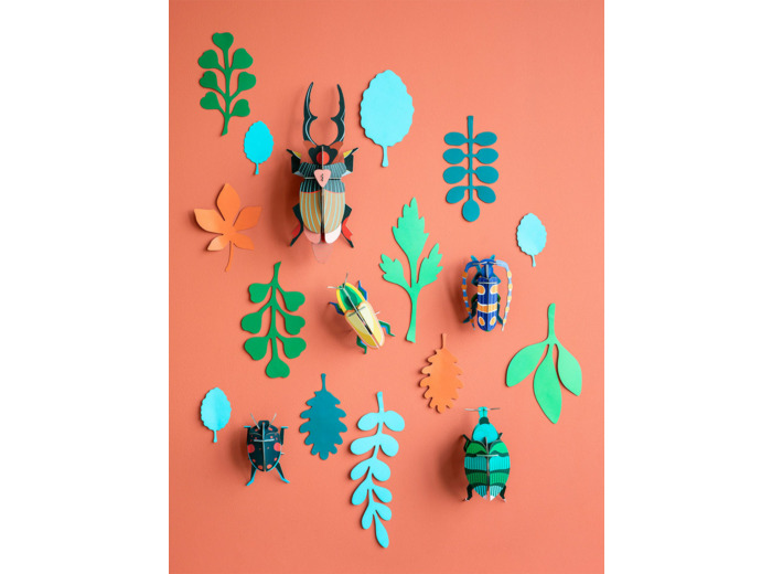 Mur de curiosités -  Scarabées