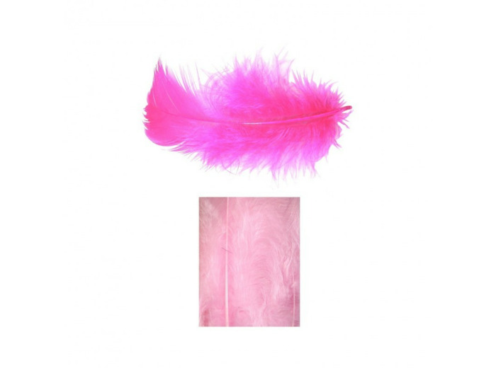 Boites de plumes  - Rose