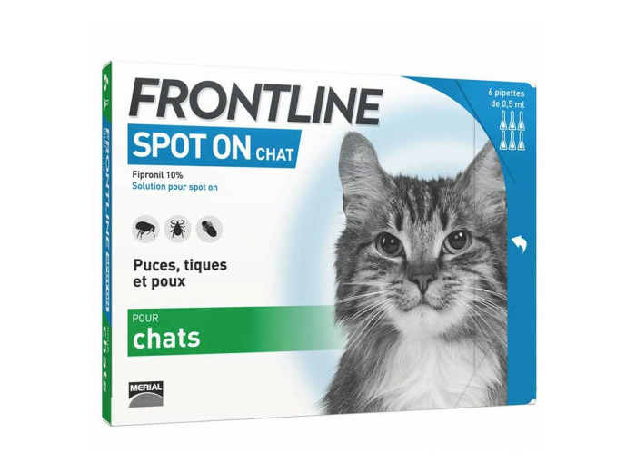 FRONTLINE CHAT 6PIP