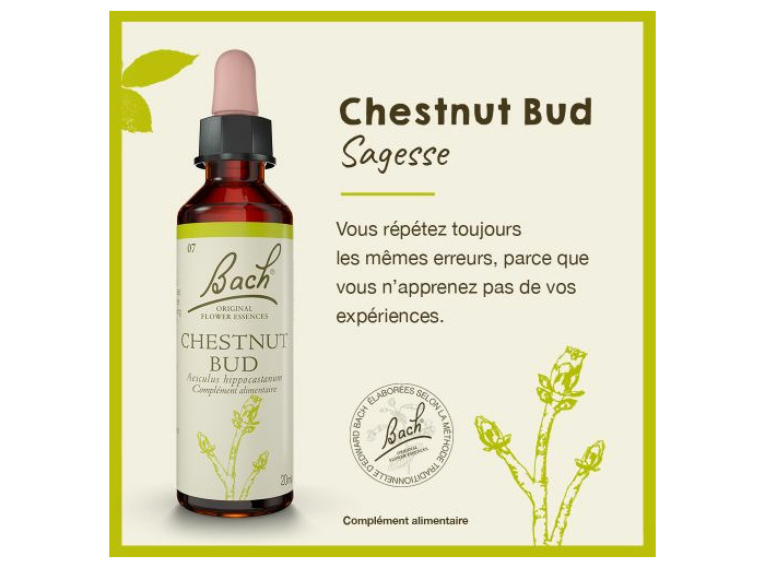 FLEUR BACH CHESNUT BUD GTT 20ML