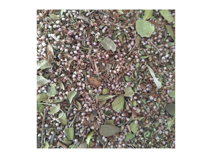 CONFORT DES VOIES URINAIRES - Infusion N°9