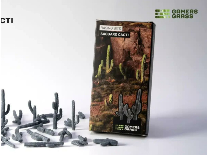 Basing Bits - Saguaro Cacti