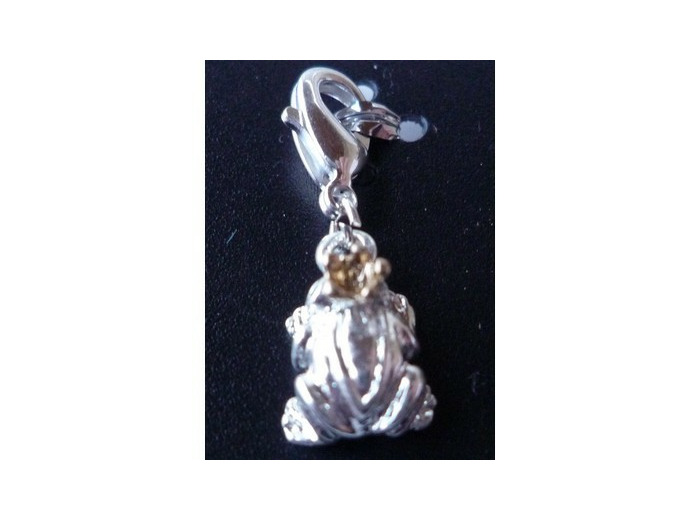 Pendentif grenouille argent