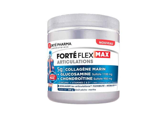 FORTE FLEX COLLAGENE POT 260G