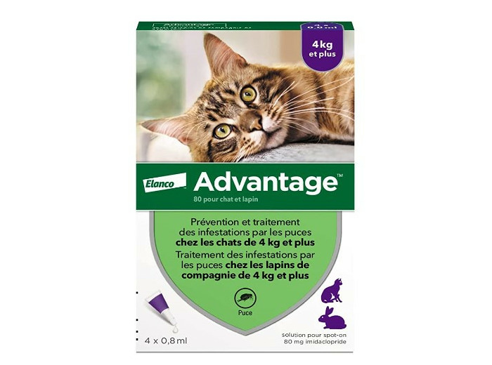 ADVANTAGE 80 CHA/LAPIN 4