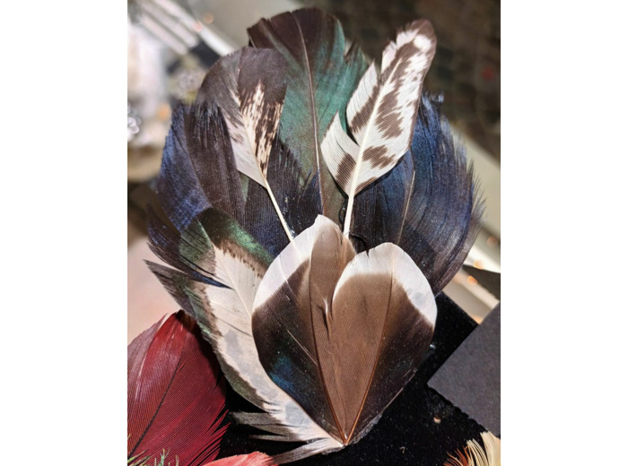 broche barrette en plumes