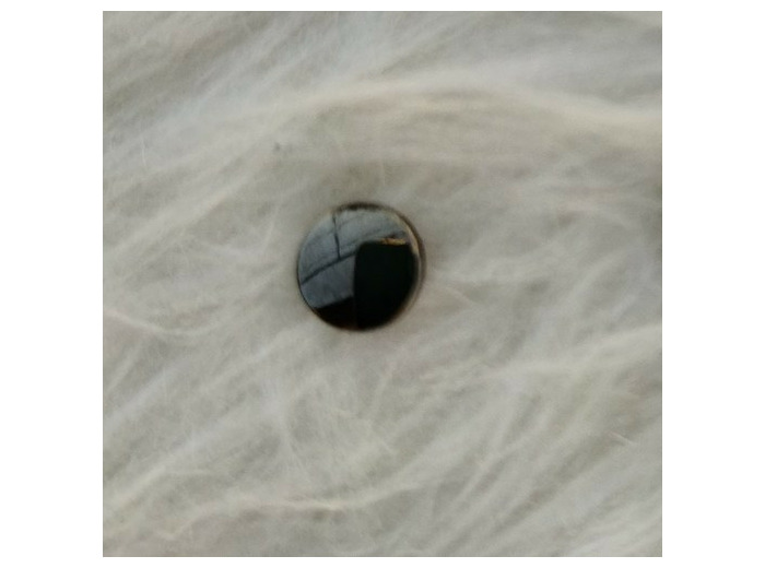 bouton gris foncé métal