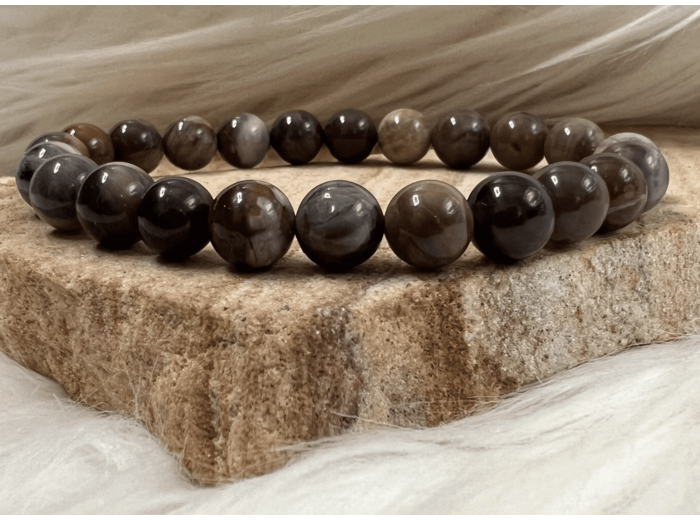 BRACELET BOIS FOSSILE